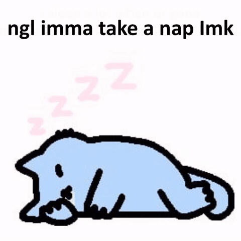 Spainnubcat GIF