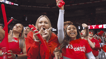 Happy Lets Go GIF by Wisconsin Badgers