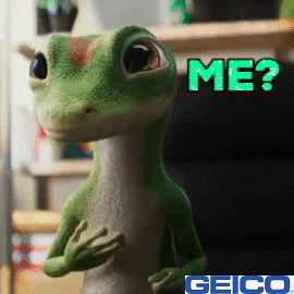 GIF by GEICO