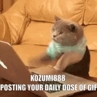 giphy.gif