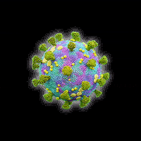 Virus Germ GIF by Loci