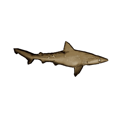 Universe In A Blender Sticker