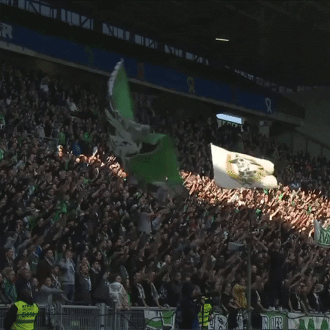 geoffroy-guichard magic GIF by AS Saint-Étienne