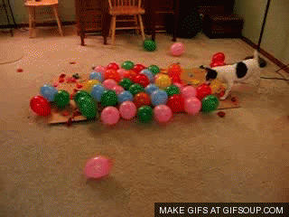 Balloons GIF - Find & Share on GIPHY