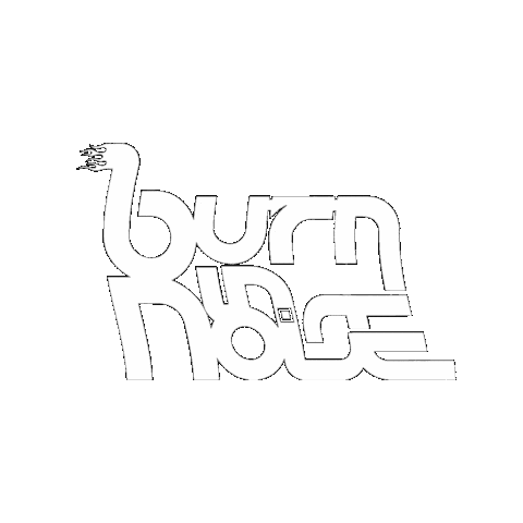 Burn in Noise Sticker