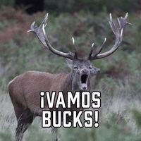 ¡Vamos Bucks!