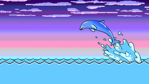 shark eating GIF - shark eating GIF