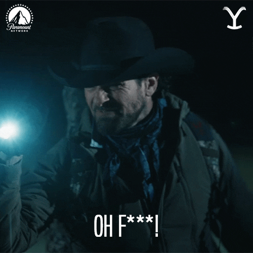Paramount Network Ryan GIF by Yellowstone Find & Share on GIPHY
