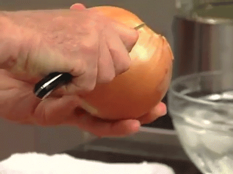 GIF showing layers of an onion