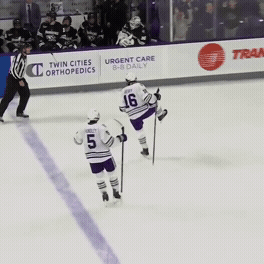 Hockey GIF