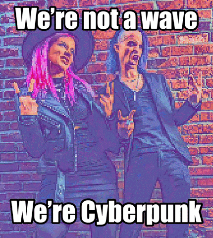 Punk Cyberpunk GIF by 2Libras