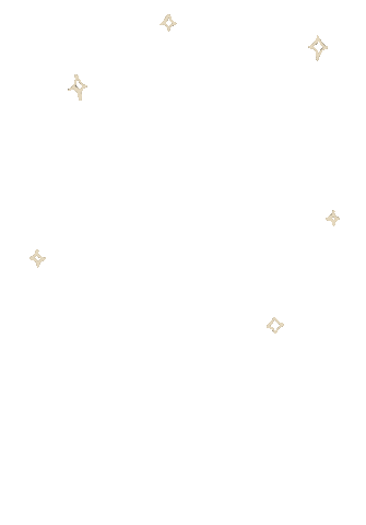 Star Sparkle Sticker
