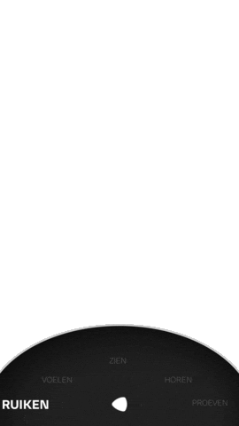 Sensazione Sticker by Ducati