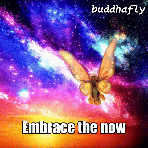 Sunset Love GIF by BuddhaFlyJourney