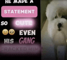 Dog Trending GIF