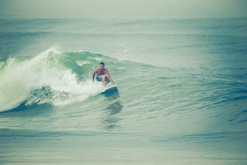 Surf GIF Find & Share on GIPHY