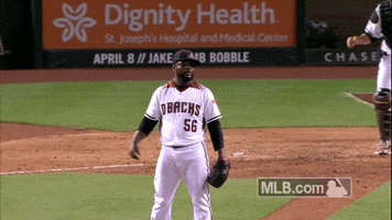 Bow And Arrow GIF by MLB