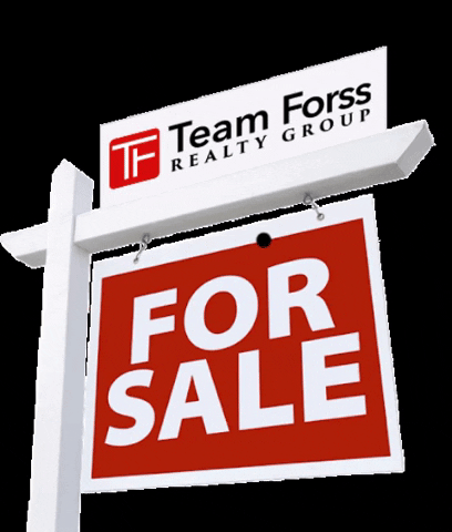 Team Forss GIF