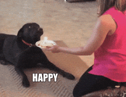 happy birthday dog GIF