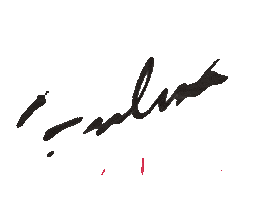 Hulya Guzellik Sticker