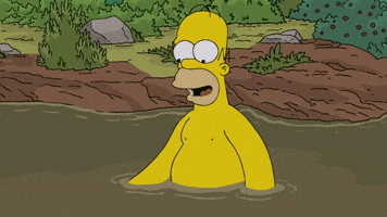 Homer Simpson Fox GIF by AniDom