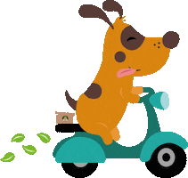 Cat Dog Sticker by Dogs N Roll Latam