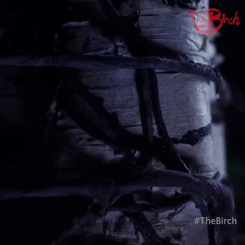 The Birch Love GIF by Crypt TV