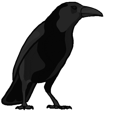 Source: Animae Morientes