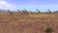 200w.gif?cid=790b76115cf9cb554157683236fb6da4&rid=200w.gif