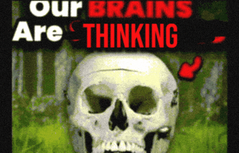 Quand l'algorithme comprend enfin votre contenu