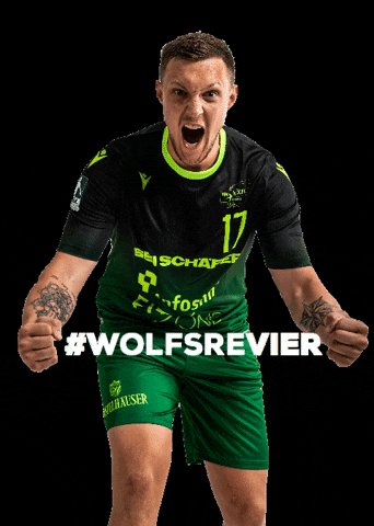 rimparerhandballer GIF