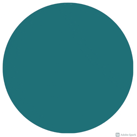 The Real Estate Institute GIF