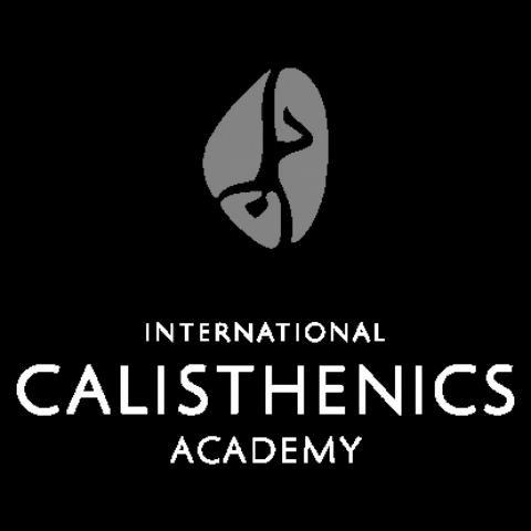 calisthenics-academy calisthenics calisthenicsacademy internationalcalisthenics GIF