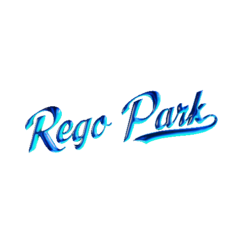 New York City Loop Sticker by Started In Queens