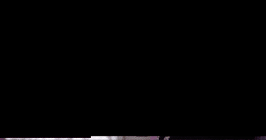 Paul Wall Video GIF by MC Magic - Nastyboy Records
