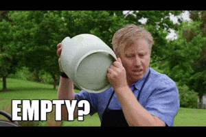 BMPRO GIF