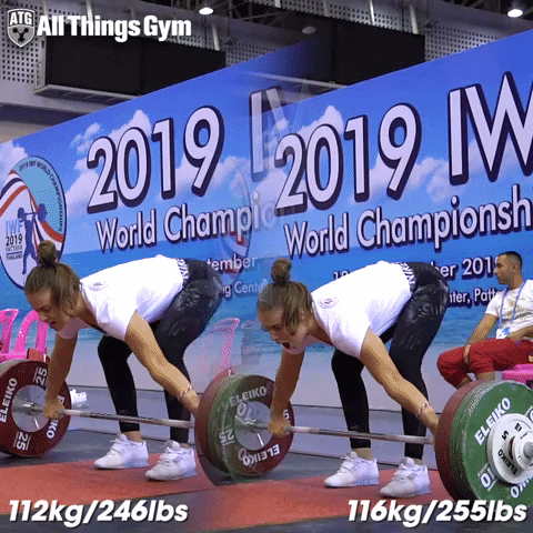 Snatch GIF