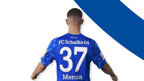 German Soccer Football GIF by FC Schalke 04