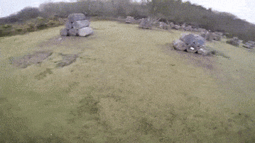 field