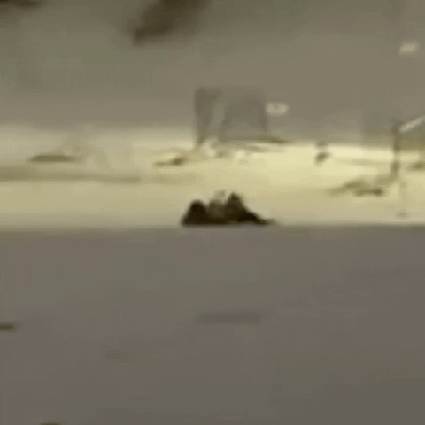 Sledding GIF