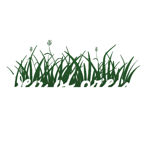 Bali Bisma Sticker by bismacottages