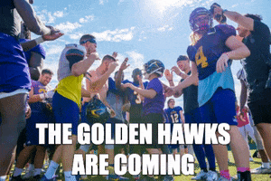 Football Laurierlove GIF by Wilfrid Laurier University