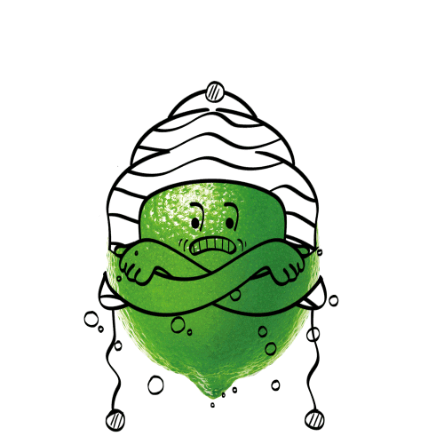 Peru Nada Sticker by Del Valle&Nada Chile