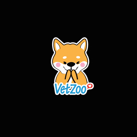 Dog Love GIF by Vetzoo