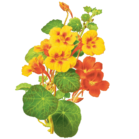 Yellow Backpack Project Sticker