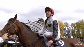 AscotRacecourse excited celebrate yay jump GIF