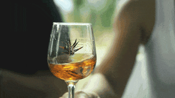 Sip Tequila GIF