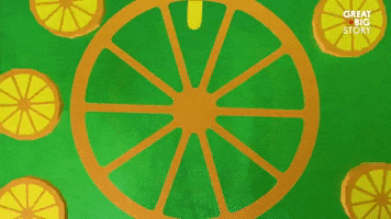 Stop Motion Orange GIF by Great Big Story