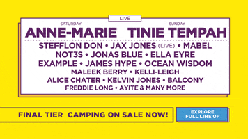 Sundown Festival GIF