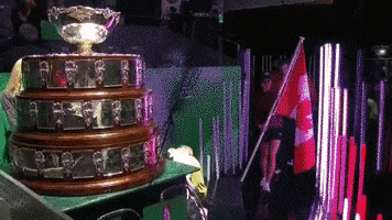 Davis Cup Canada GIF by Davis Cup by Rakuten Finals